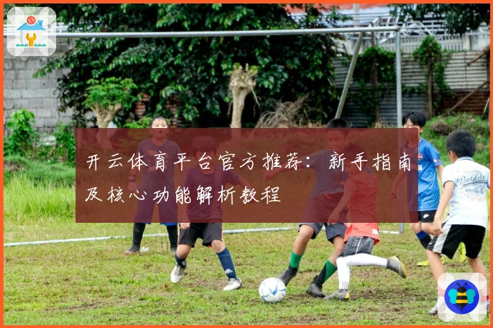 开云体育平台官方推荐：新手指南及核心功能解析教程
