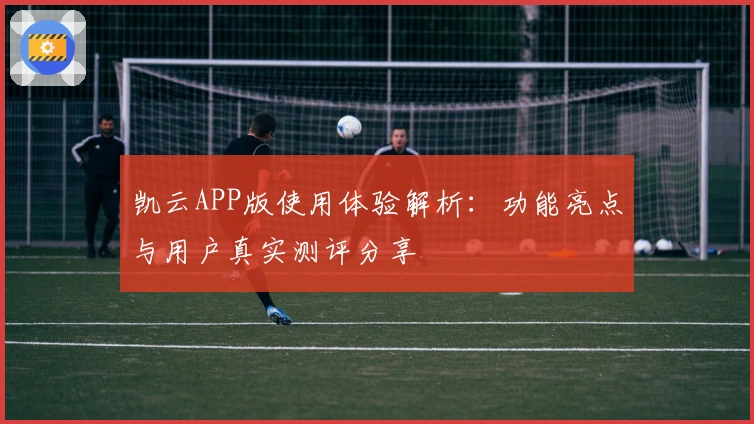 凯云APP版使用体验解析：功能亮点与用户真实测评分享